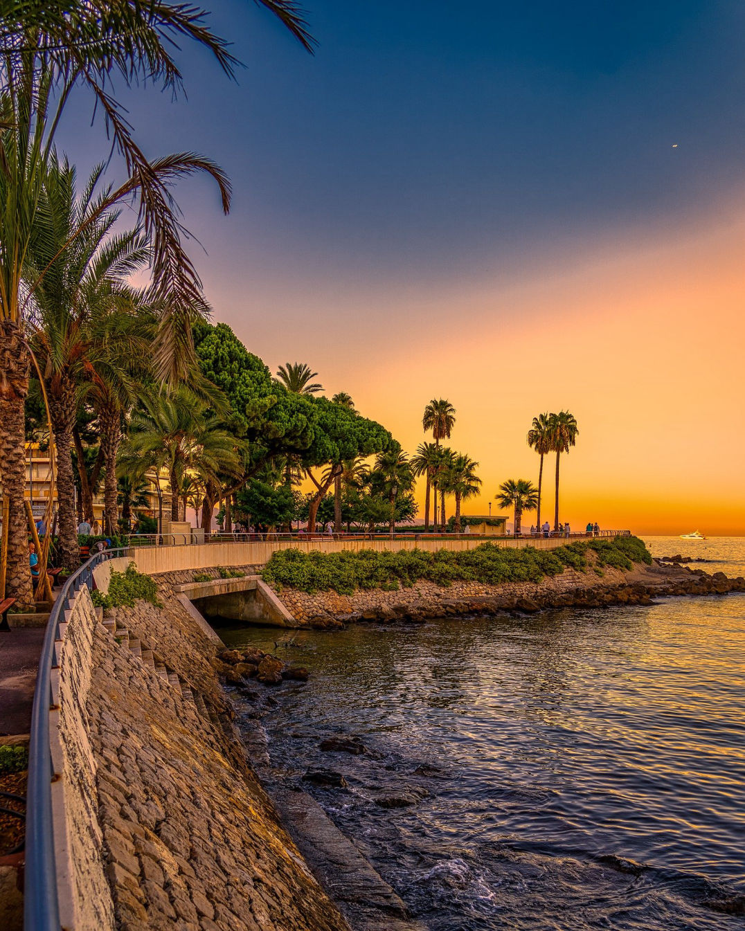 Valoréa Conseil à Antibes : présentation du cabinet